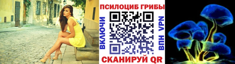 Псилоцибиновые грибы Psilocybe  Ак-Довурак 
